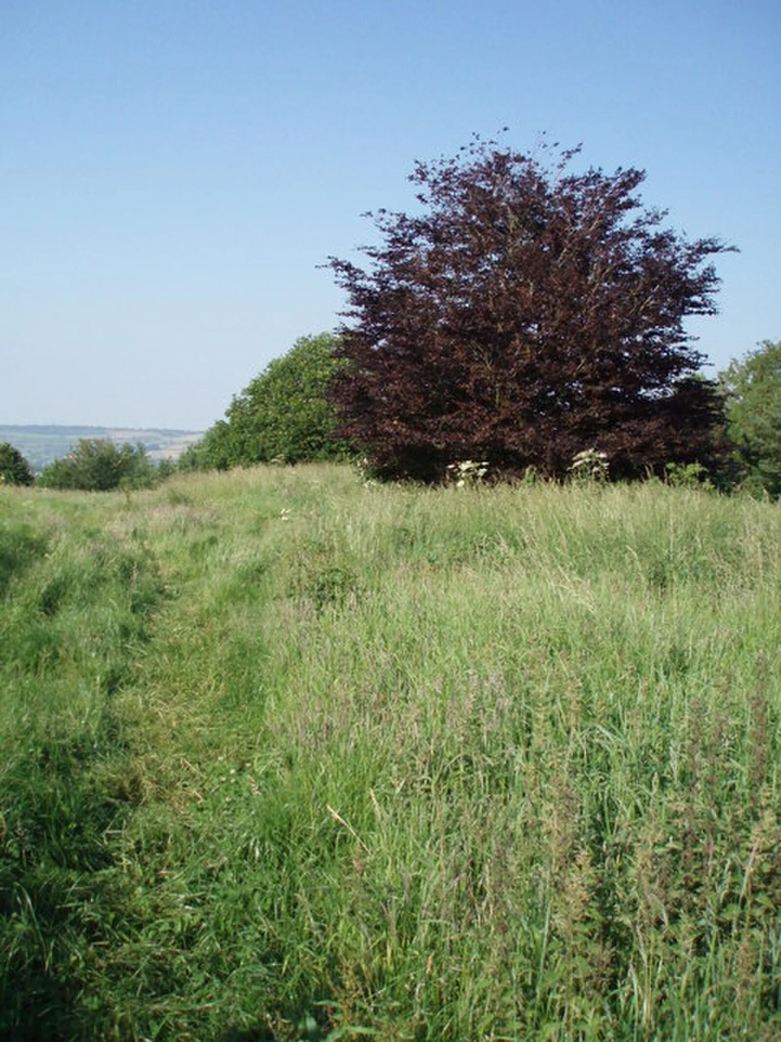 Stantonbury Camp